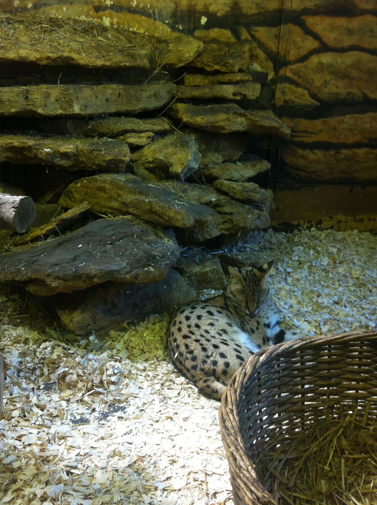 London Zoo